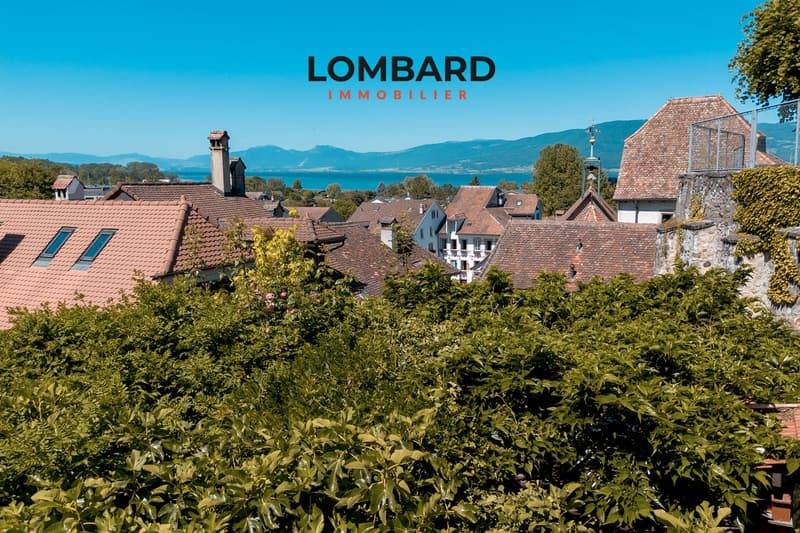 Charming 3.5-room duplex with a view of the lake (8)