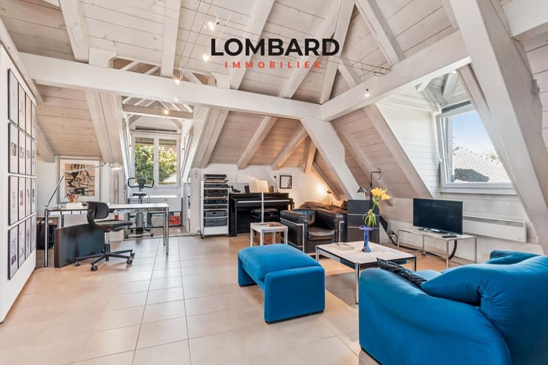 Charming 3.5-room duplex with a view of the lake (4)