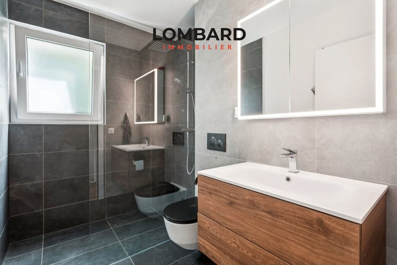 Spacieux appartement moderne de 4,5 pièces (6)