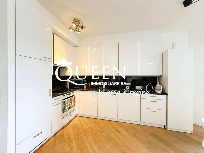 Lugano: appartement 2.5 pièces, 75 m², lumineux, avec terrasse et vue ouverte (8)