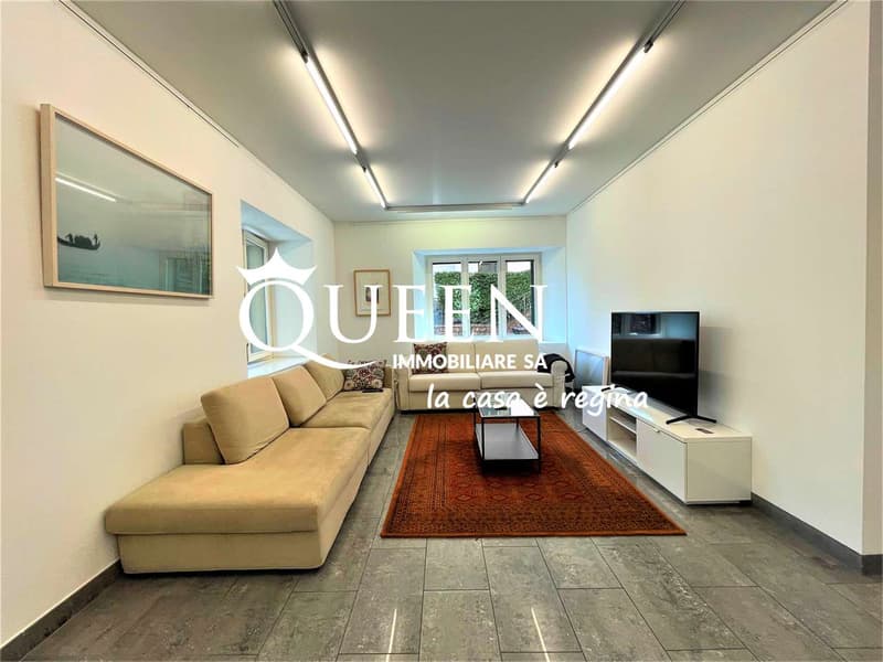 Lugano centro: appartamento 5 locali, 190 mq, giardino privato, portic (3)