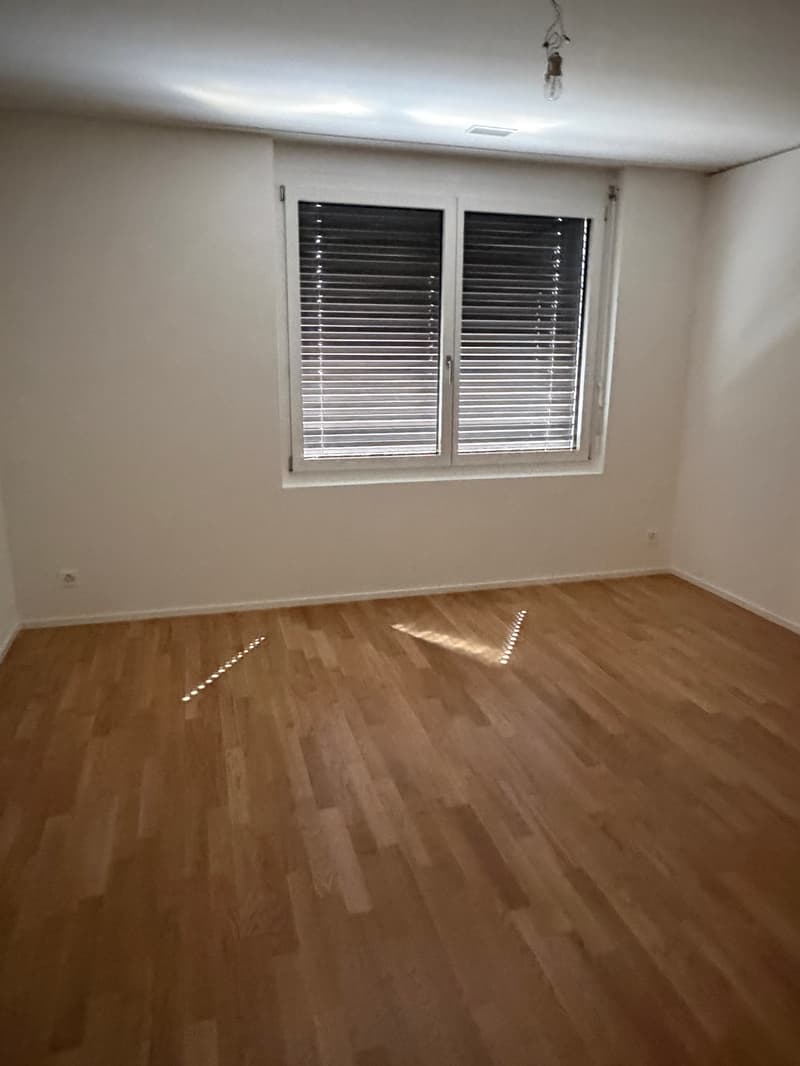 Zimmer