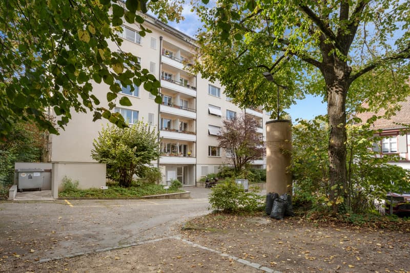 Neubadrain 8-10
