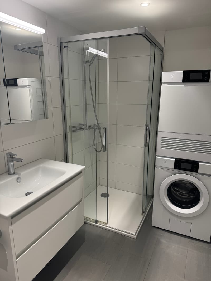 Dusche, Lavabo, Waschturm, Spiegelschrank