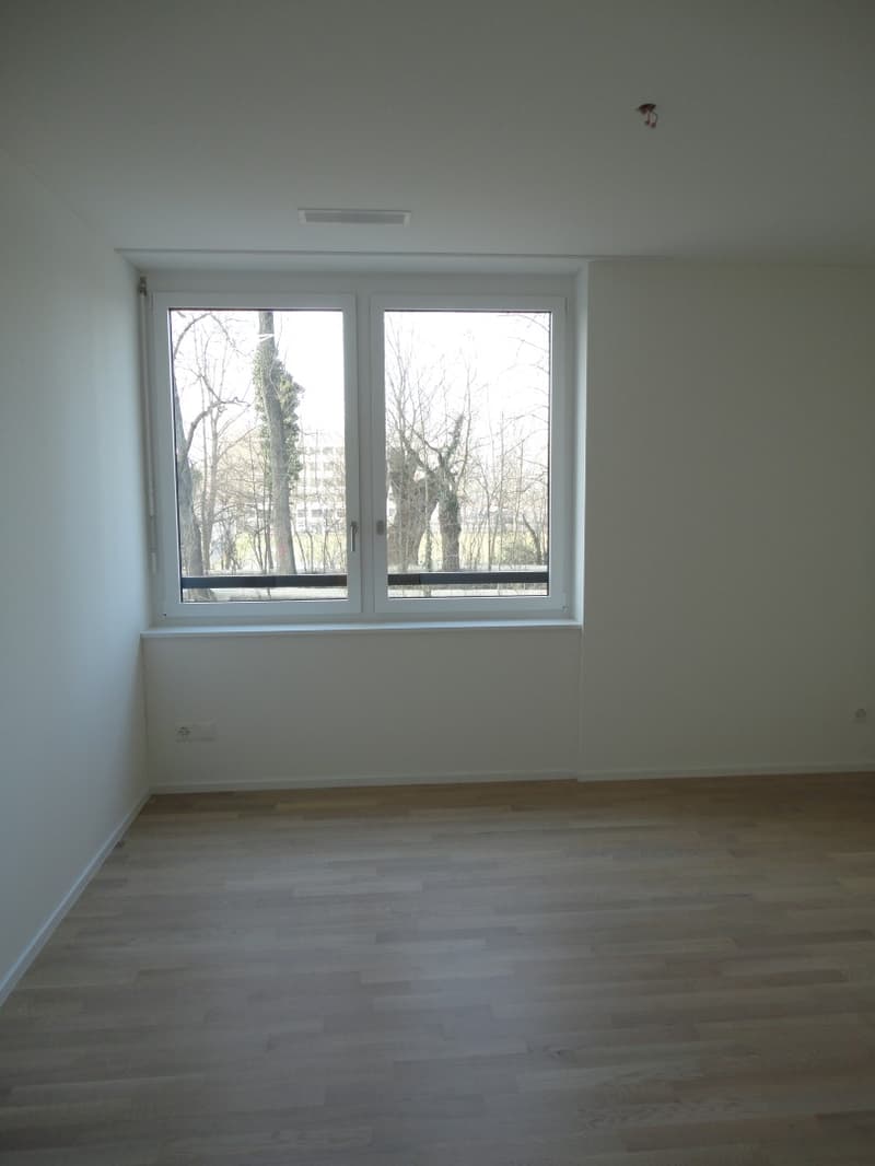 Zimmer