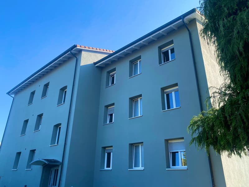 Kernsaniertes Mehrfamilienhaus mit 6 Wohnungen in Reiden – 4,2% Rendite (1)