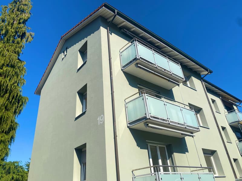 Kernsaniertes Mehrfamilienhaus mit 6 Wohnungen in Reiden – 4,2% Rendite (3)