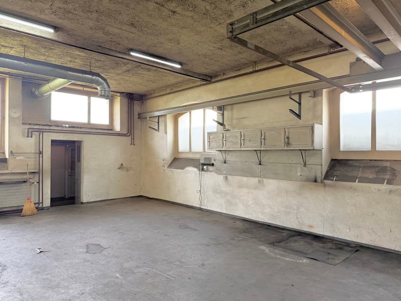 Atelier spacieux à louer sur Thorenbergstrasse à Lucerne (4)