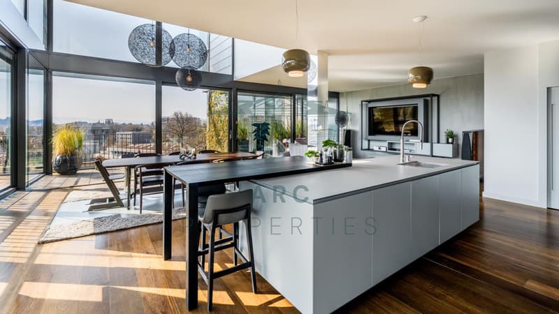 CHARMILLES ? EXCEPTIONAL TRIPLEX ATTIC WITH PANORAMIC TERRACE (2)