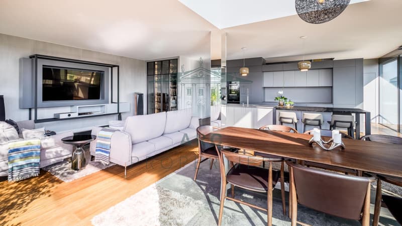 CHARMILLES ? EXCEPTIONAL TRIPLEX ATTIC WITH PANORAMIC TERRACE (3)