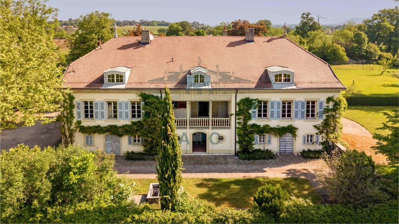 VANDOEUVRES - MANOR HOUSE ON A LARGE PLOT OF OVER 10,000 M2 (2)