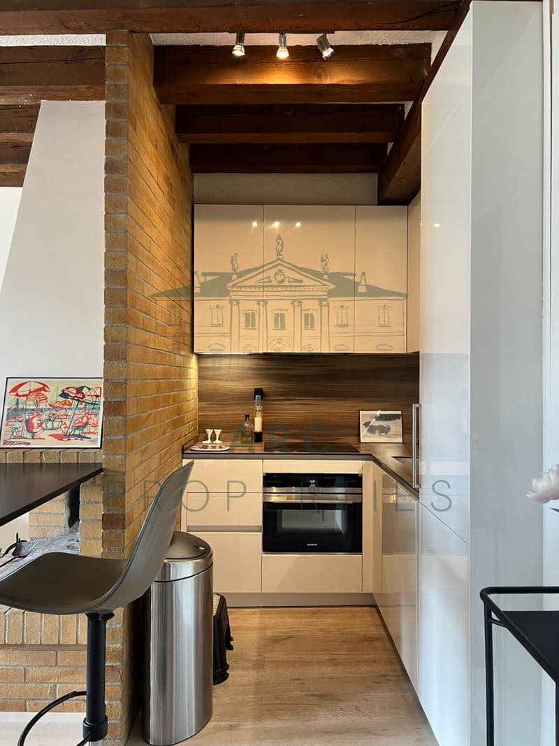 EAUX-VIVES - APARTMENT COMPLETELY RENOVATED (4)
