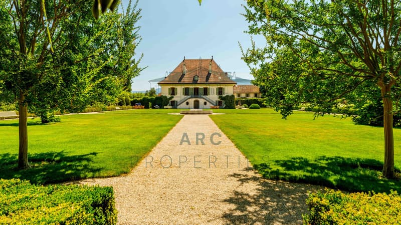DOMAIN OF EXCEPTION ? MERLINGE CASTLE (3)