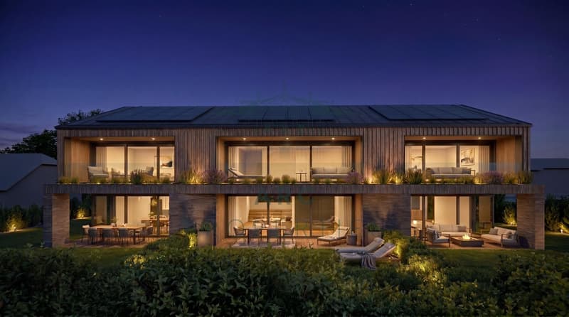 MEINIER - MINERAL PROJECT - CONTEMPORARY VILLA B (3)