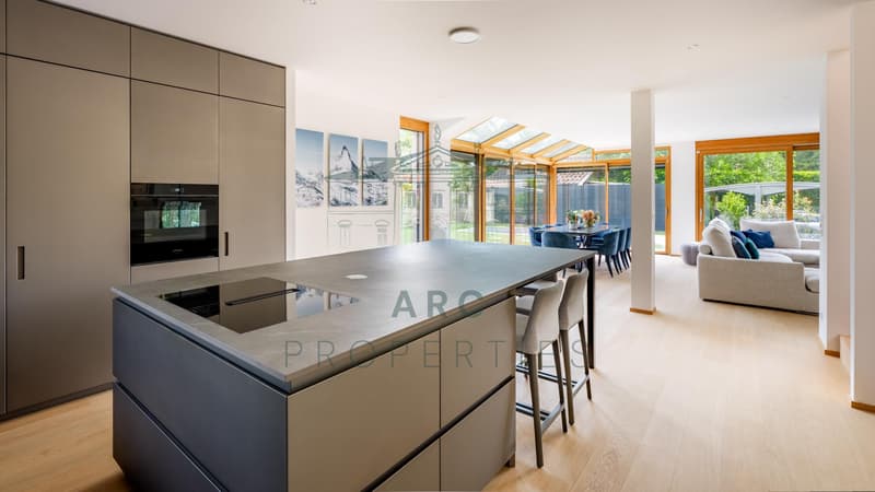 CORSIER ? VILLA CONTEMPORAINE D'EXCEPTION (2)