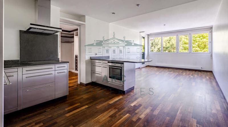 CHAMPEL - BEL APPARTEMENT AU C?UR D'UN QUARTIER PRISÉ (2)