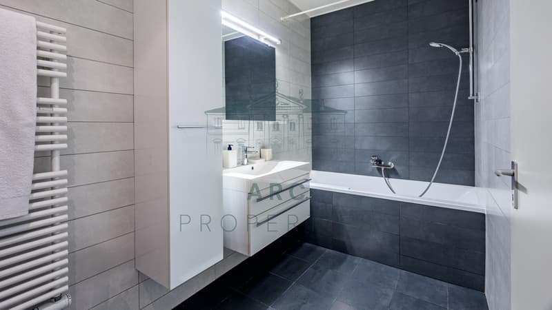 CHAMPEL - BEL APPARTEMENT AU C?UR D'UN QUARTIER PRISÉ (4)