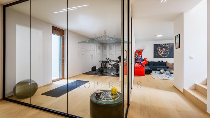 CORSIER ? MAGNIFIQUE VILLA INDIVIDUELLE NEUVE AVEC PISCINE (5)