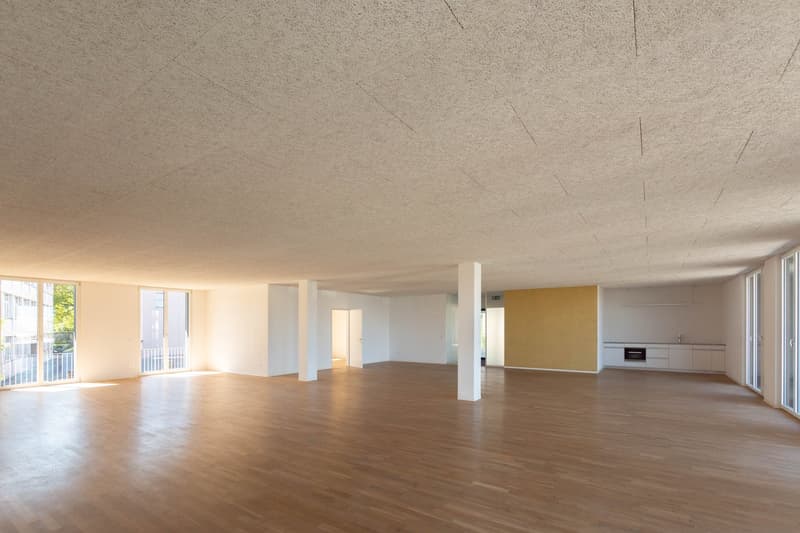 Modern commercial space in Galfenfeld (4)