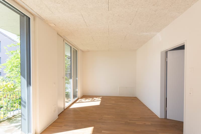 Modern commercial space in Galfenfeld (5)