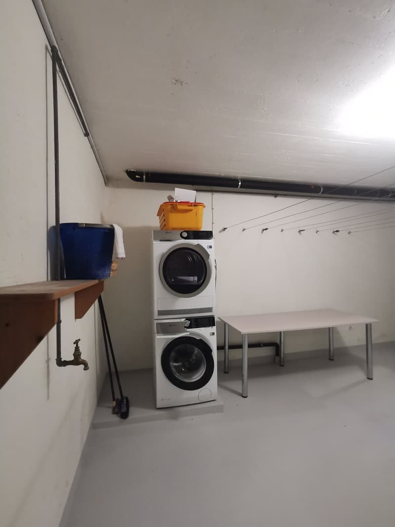 Elfenau-Reiheneinfamilienhaus an privilegierter Lage (14)