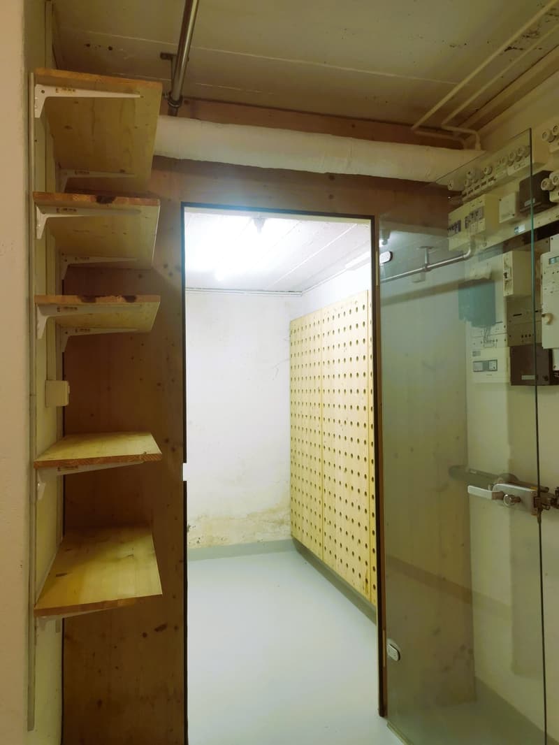 Elfenau-Reiheneinfamilienhaus an privilegierter Lage (16)
