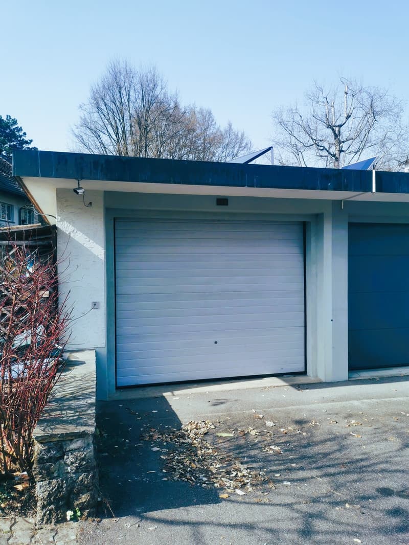 Elfenau-Reiheneinfamilienhaus an privilegierter Lage (17)