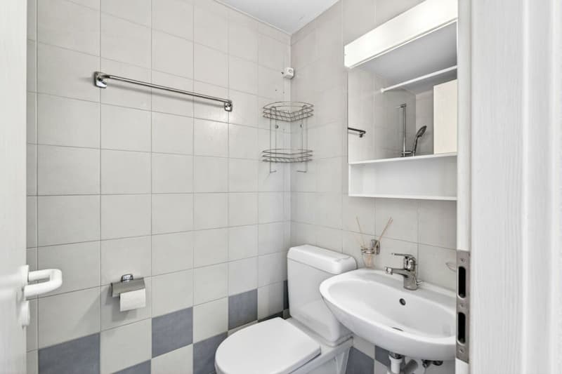 Charming 3.5-room attic apartment (12)
