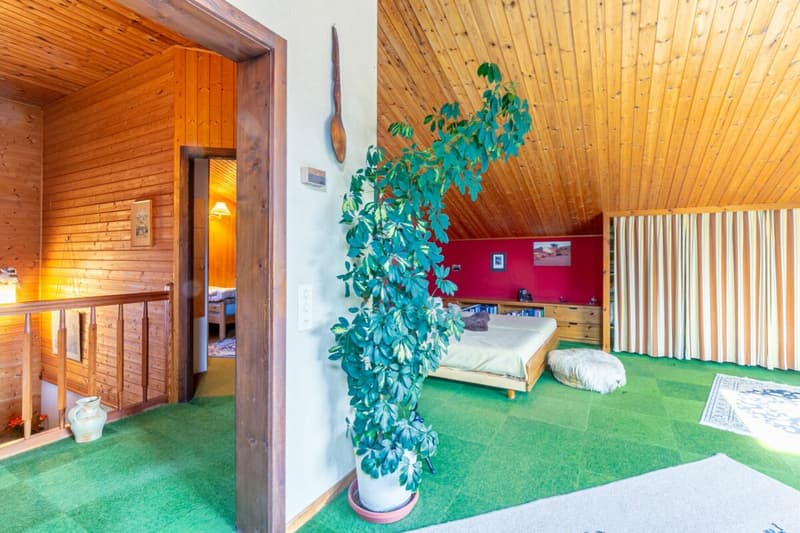 Charming 6.5-room house (11)