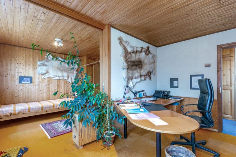 Charming 6.5-room house (8)