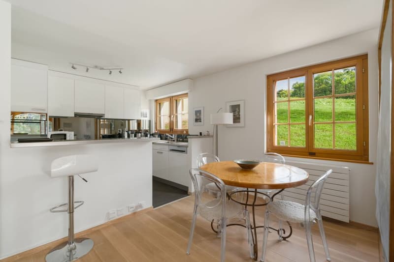 Séduisant 2,5 pièces avec terrasse et vue lac (3)