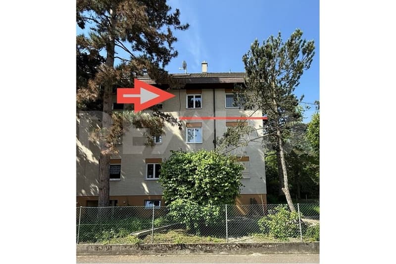 !!Preisanpassung!! Ihr Traumzuhause an zentraler und ruhiger Lage in Allschwil (2)