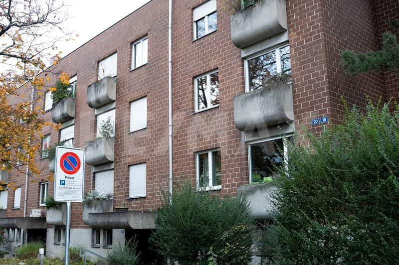 Charmante 3 1/2 Zimmer-Wohnung in Allschwil (2)