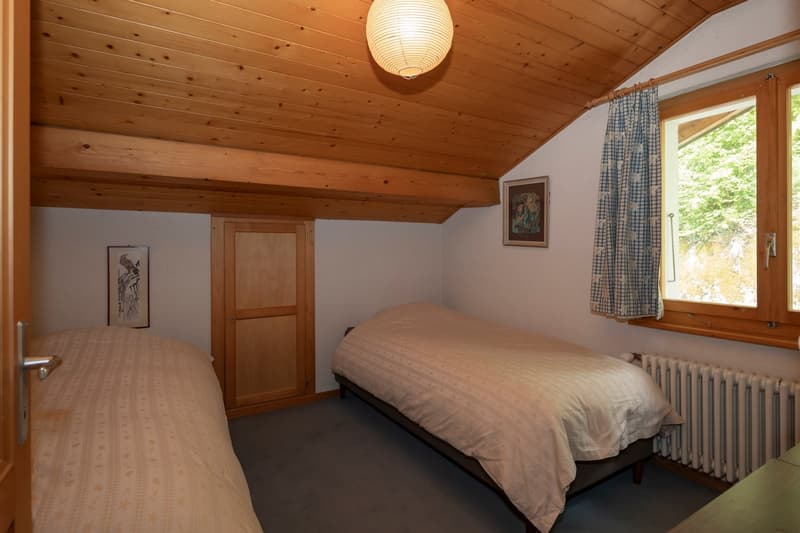 Cozy 5-room chalet with integrated garage and large garden (25)