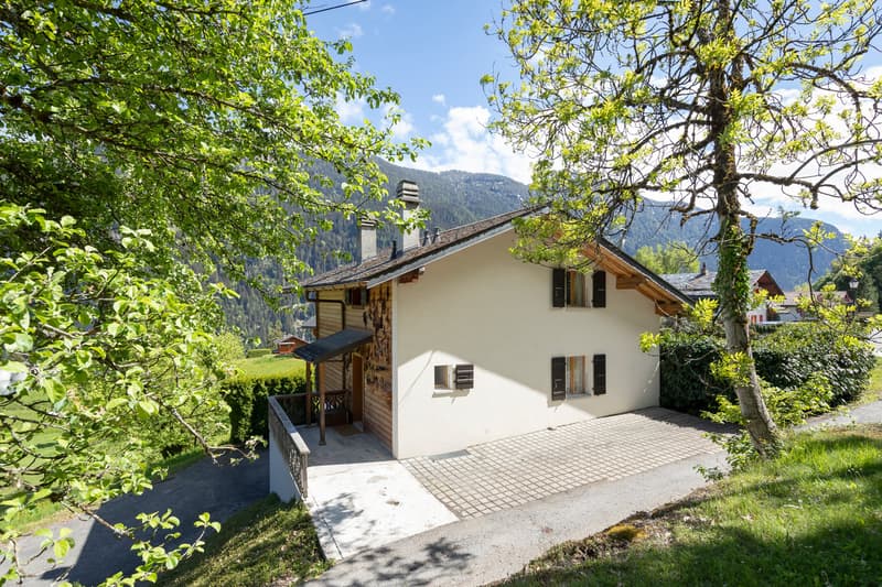 Cozy 5-room chalet with integrated garage and large garden (6)