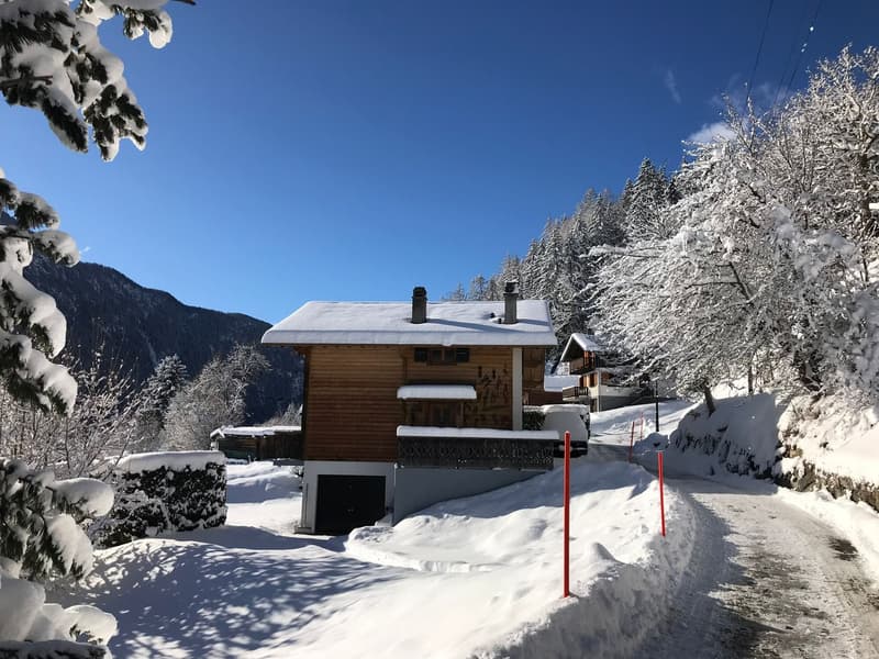 Cozy 5-room chalet with integrated garage and large garden (5)