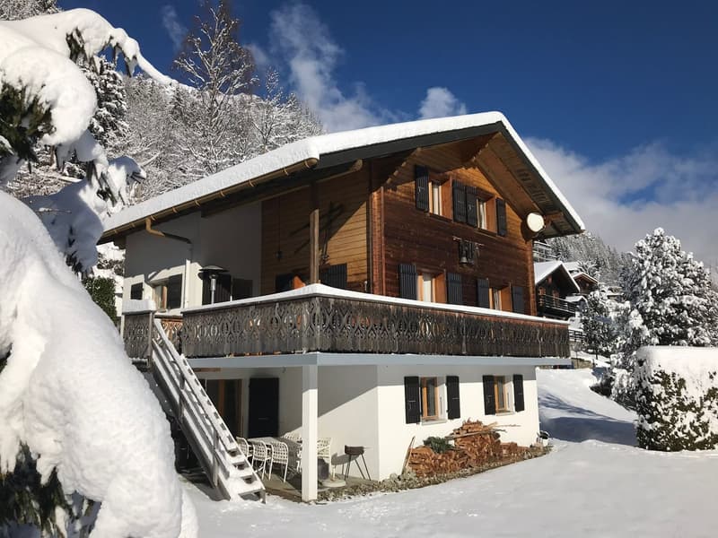 Cozy 5-room chalet with integrated garage and large garden (2)