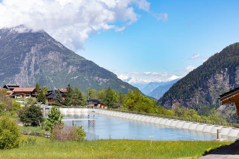 Cozy 5-room chalet with integrated garage and large garden (20)