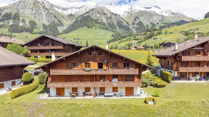 Duplex 5 rooms in a very quiet location with a magnificent view of the mountains. (1)