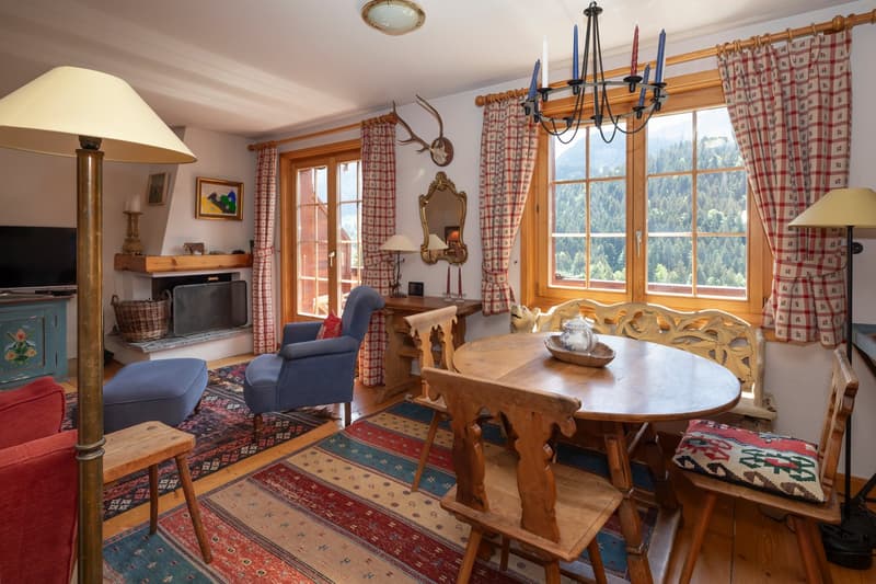 Duplex 5 rooms in a very quiet location with a magnificent view of the mountains. (10)