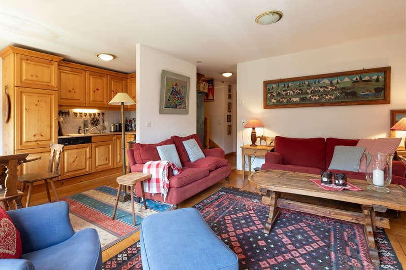 Duplex 5 rooms in a very quiet location with a magnificent view of the mountains. (9)