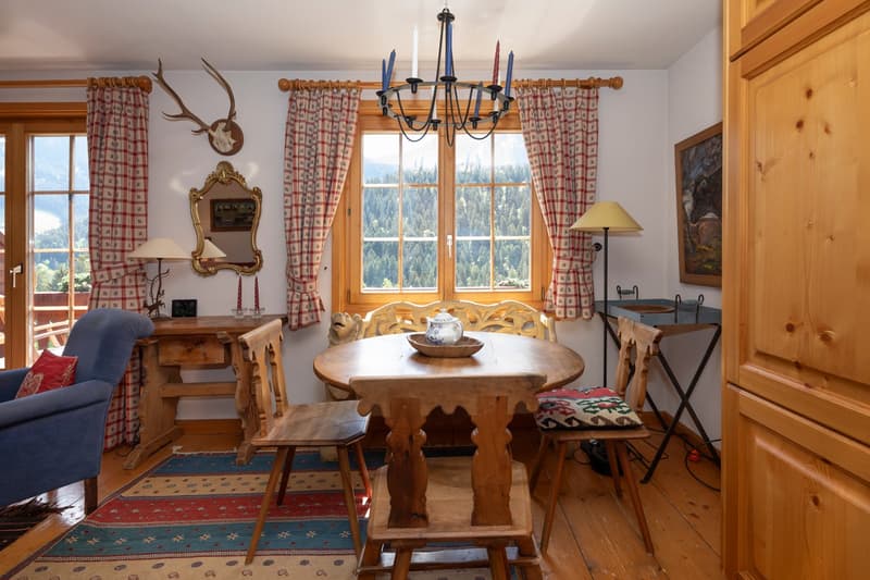 Duplex 5 rooms in a very quiet location with a magnificent view of the mountains. (7)