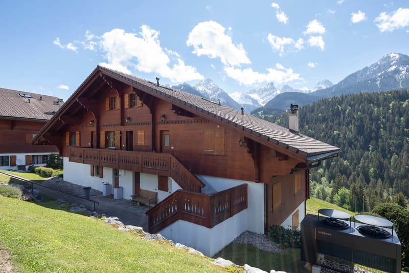 Duplex 5 rooms in a very quiet location with a magnificent view of the mountains. (3)