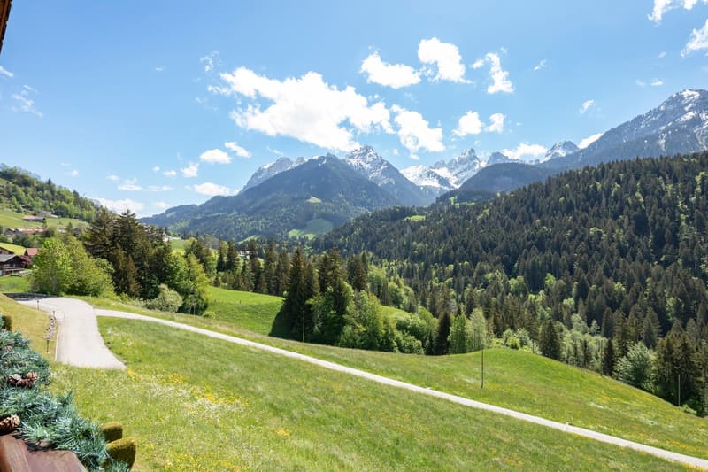 Duplex 5 rooms in a very quiet location with a magnificent view of the mountains. (15)