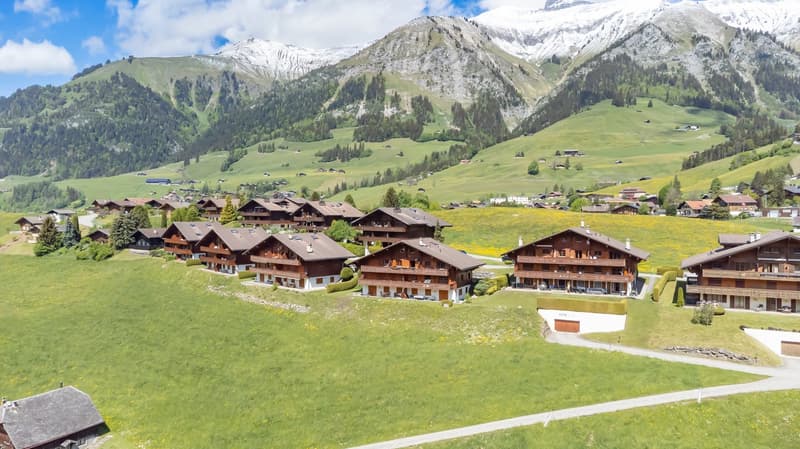 Duplex 5 rooms in a very quiet location with a magnificent view of the mountains. (20)