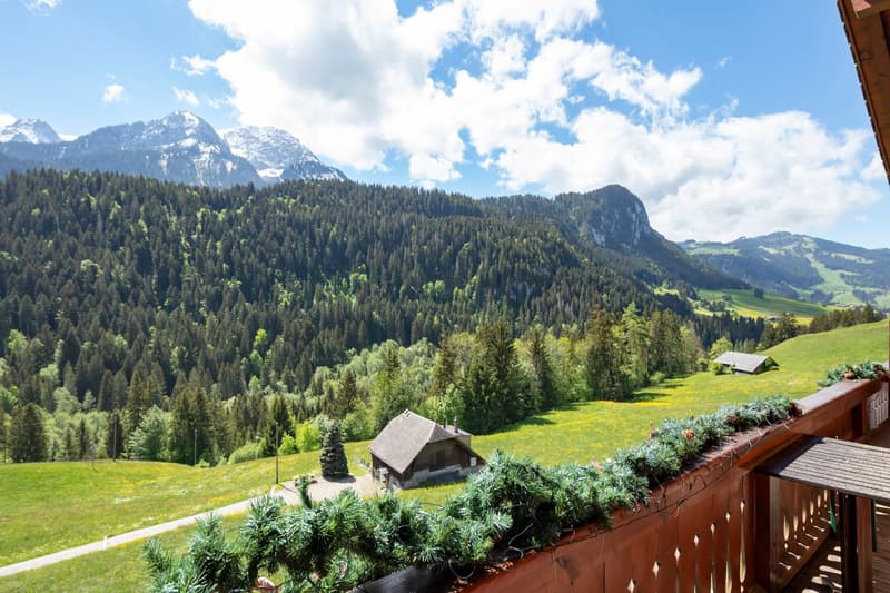 Duplex 5 rooms in a very quiet location with a magnificent view of the mountains. (14)