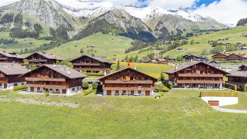 Duplex 5 pièces dans un endroit très calme et offrant une vue magnifique sur les montagnes. (3)
