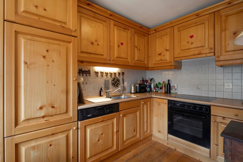 Duplex 5 pièces dans un endroit très calme et offrant une vue magnifique sur les montagnes. (12)