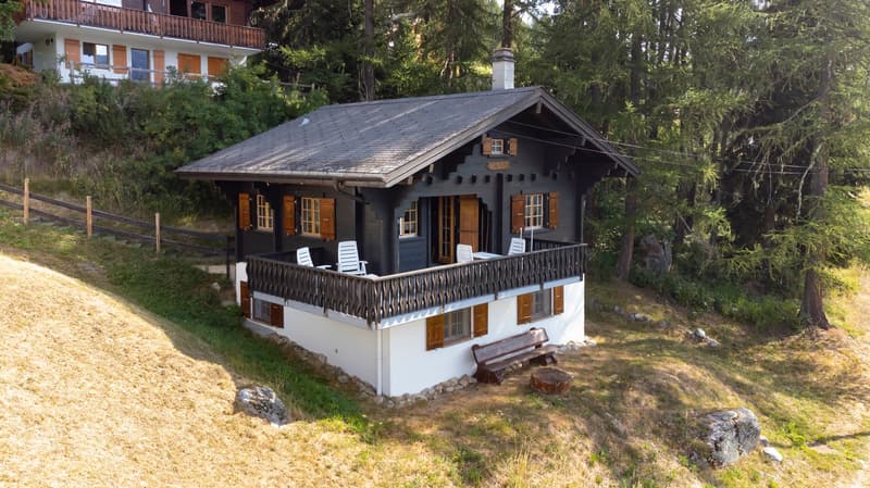 Chalet ski-in-ski-out mit zwei Privatparkplätze (1)