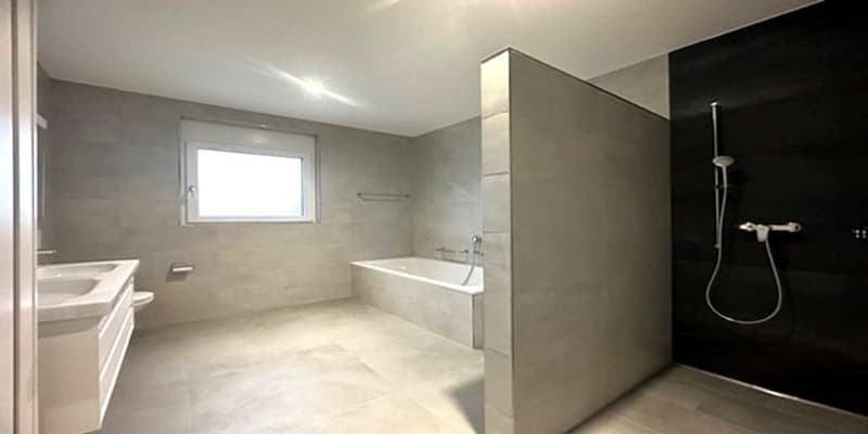 white tiles, modern shower enclosure, bathtub, white vanity, sink, window